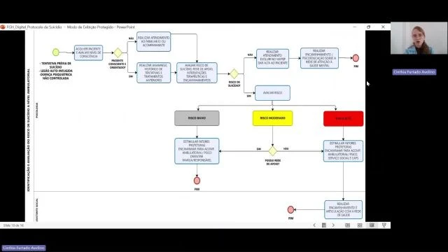 SuicÃ­dio para validaÃ§Ã£o 2 - Trim 1